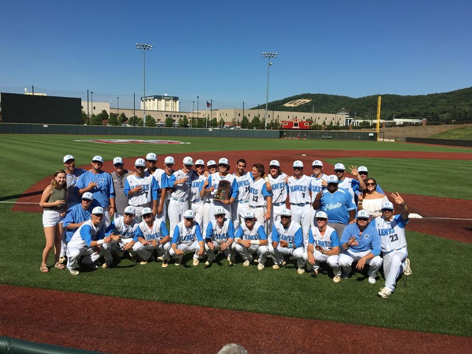 RVA Sports Network Top 10 Teams of 201516 1 Hanover Baseball