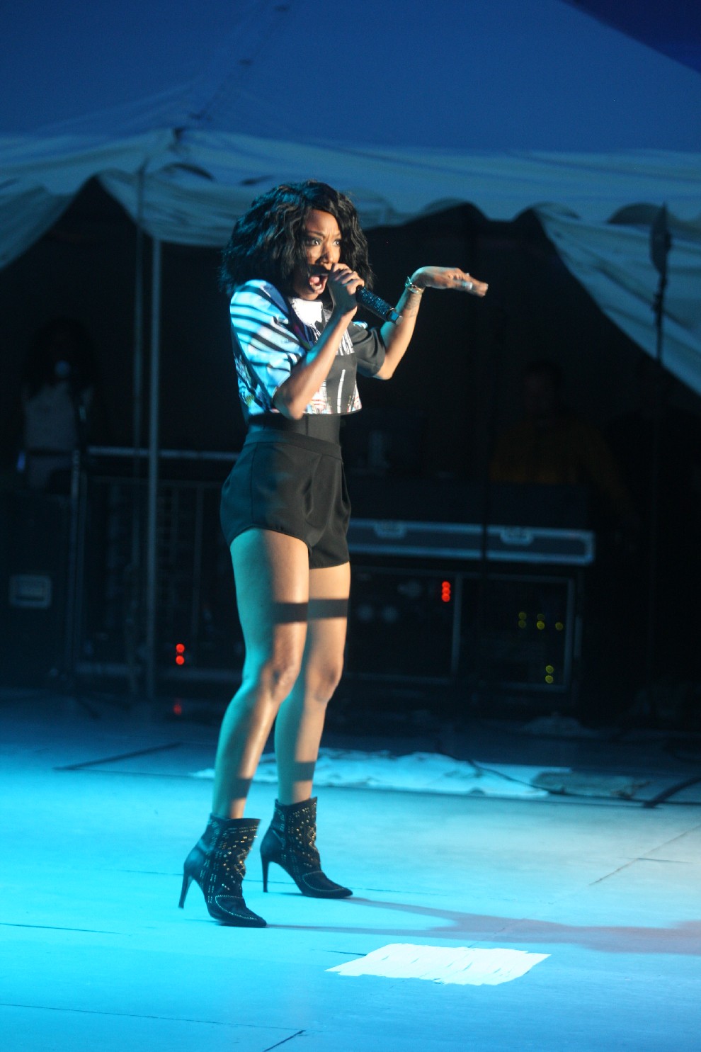 Brandy. .A role model for many female FANS