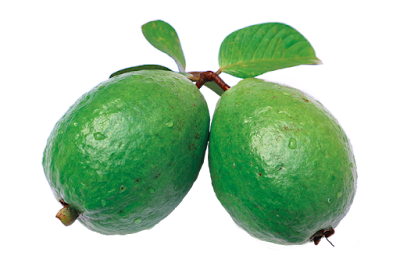 अमरूद एक फायदे अनेक | जानिये अमरूद के चमत्कारी फायदे | Amazing Fact Of Gauva Fruit 