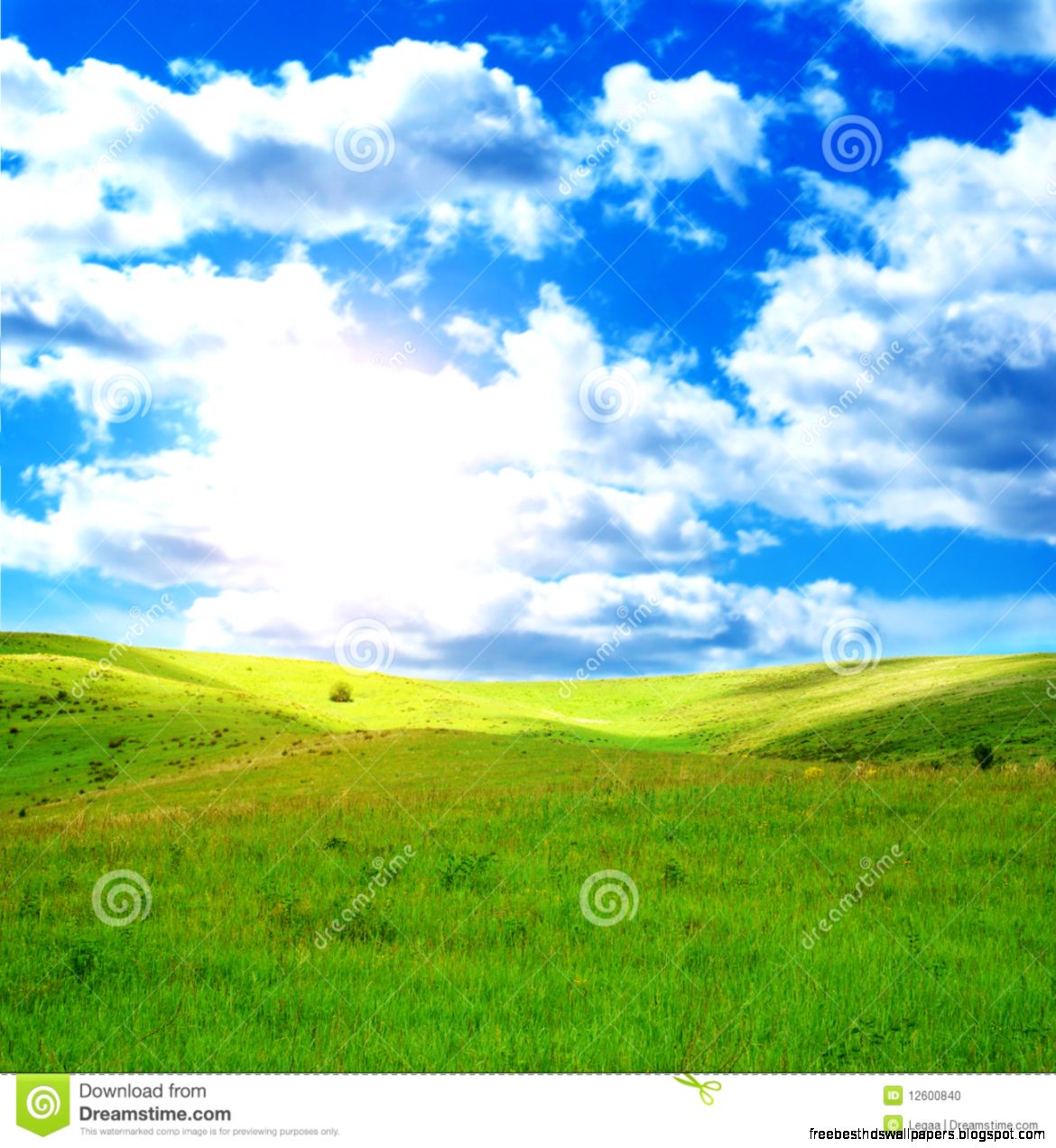 Sunny Spring Day Stock Photo   Image 12600840