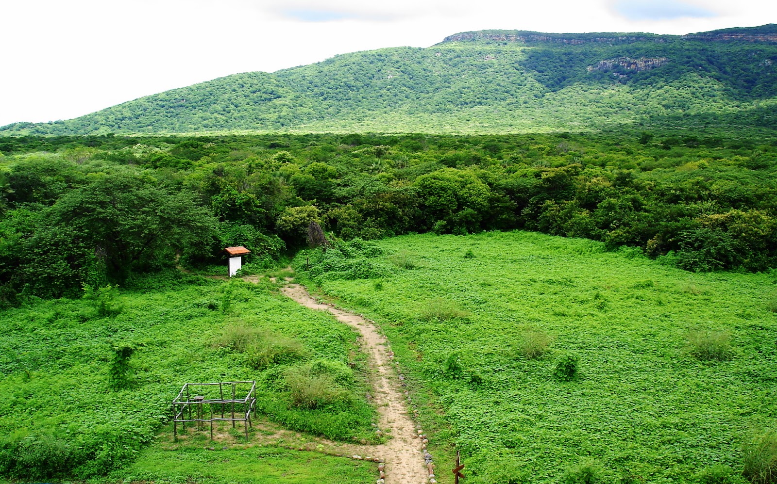 Rppn (Reserva Particular Do Patrimônio Natural) | Wwf Brasil