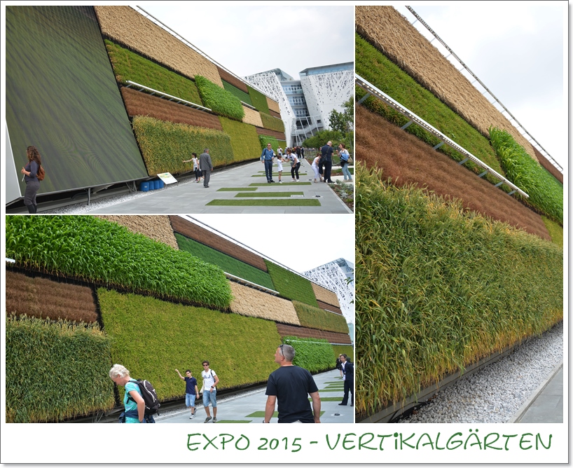 Gartenbeet In Der Vertikalen