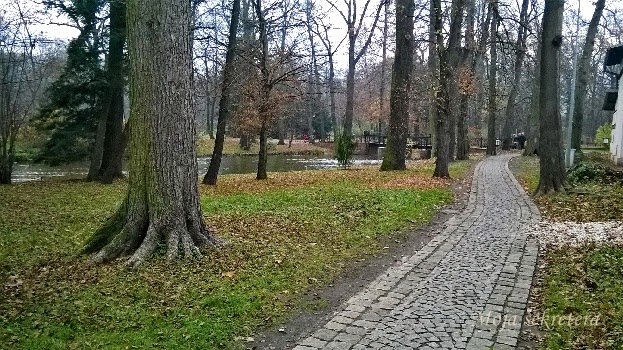 dróżka i rzeka w parku pszczyńskim