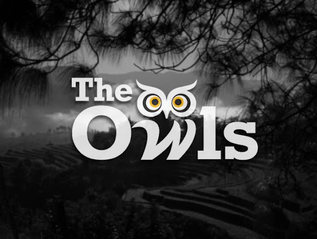 The Owls Collection ~ Dakara Spree