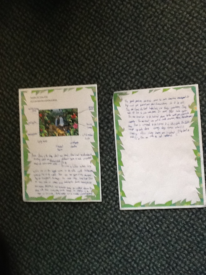 Descriptive essay rainforest image