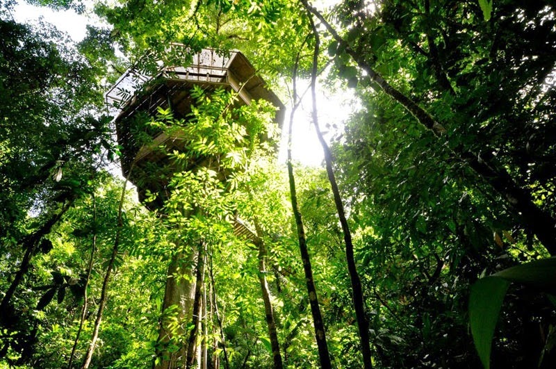 It seems like our childhood fascination with tree houses only gets way better here. - Your Childhood Dreams Will Be Re-Awakened When You See These Magical Treehouses.