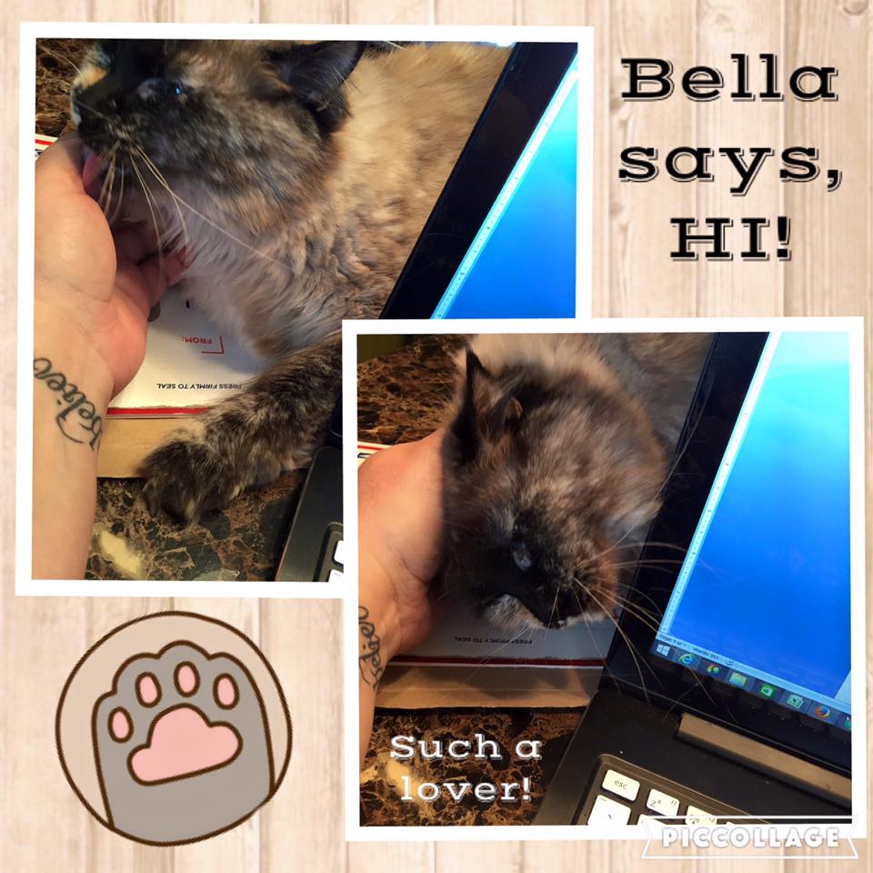 Buttermilk Basin Design Studio FREE Mystery Block 3, New Buttons