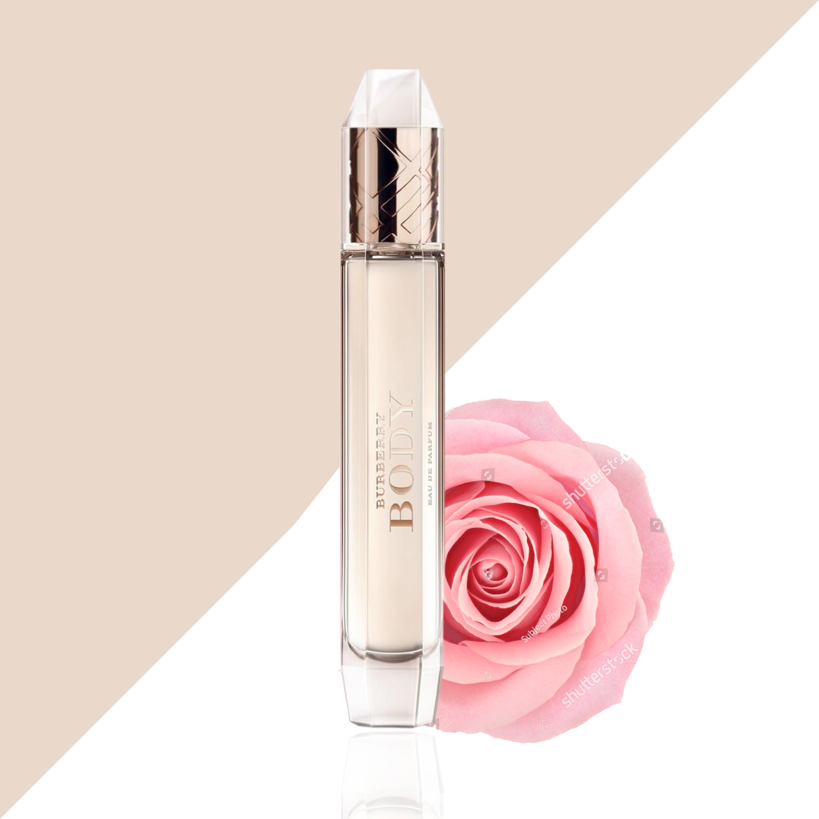 Scent Spotlight The Best Sandalwood Scents Edgars Mag