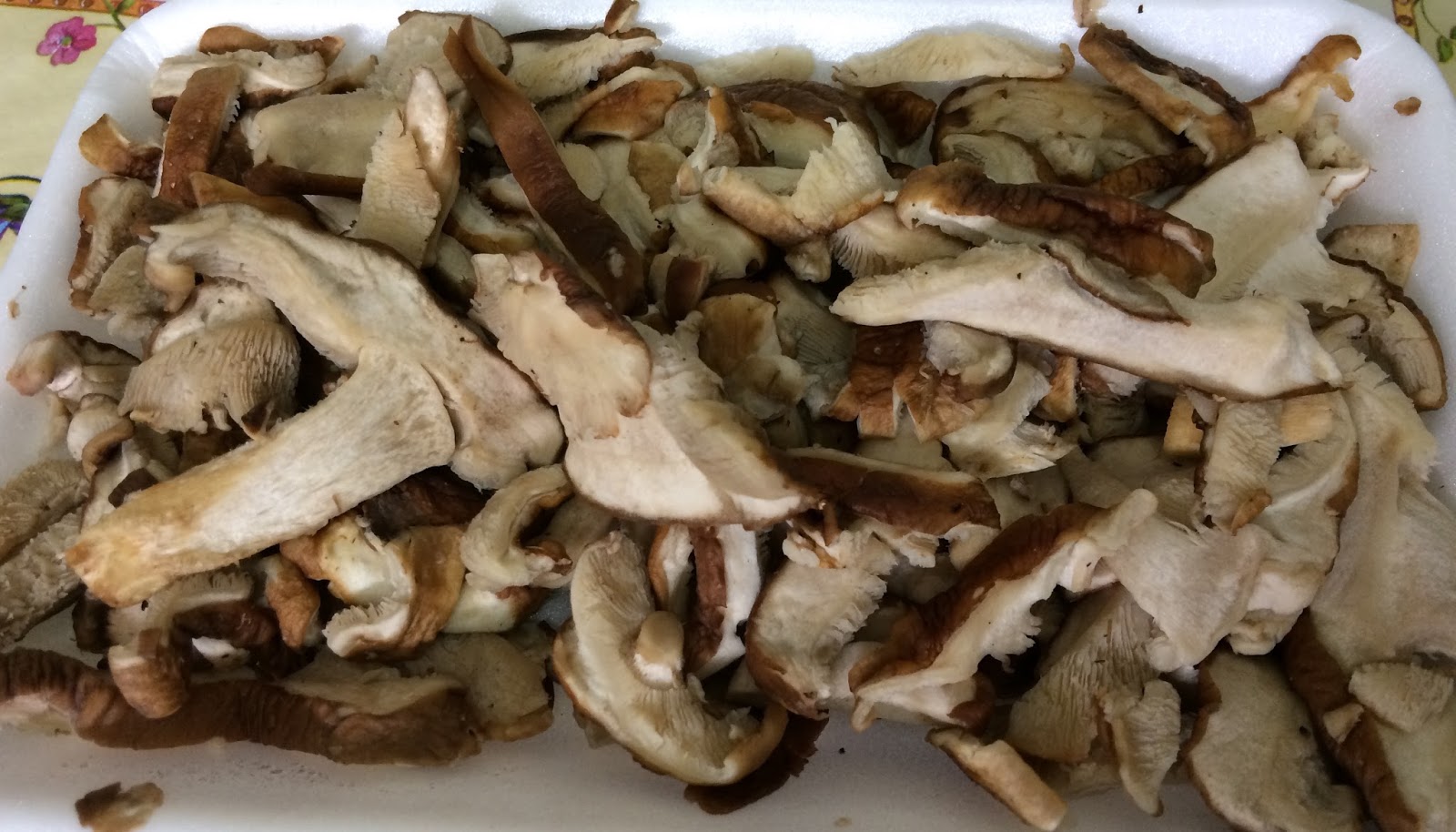 Receitinhas da Tere Salmão com Shimeji e Shitake