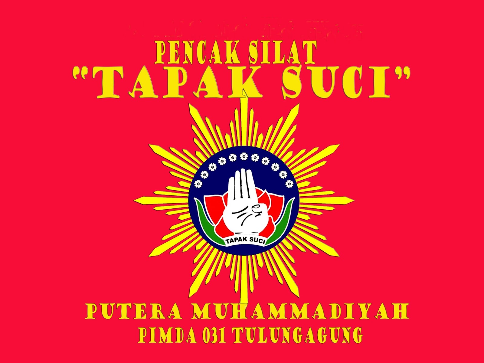 Tapak Suci 031 Tapak Suci Putera Muhammadiyah