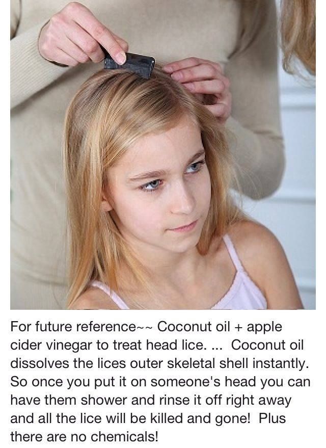 How To Remove Lice From Hair By Your Own Caraway Seeds Health Benefits