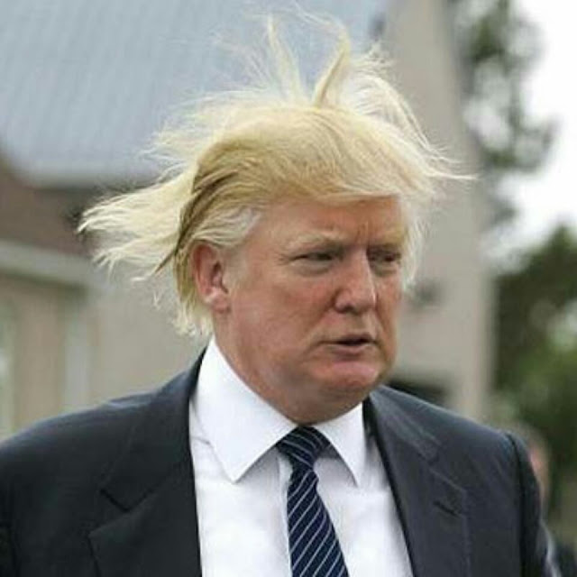 A head shot of Donald Trump with the wind blowing his hair all around.