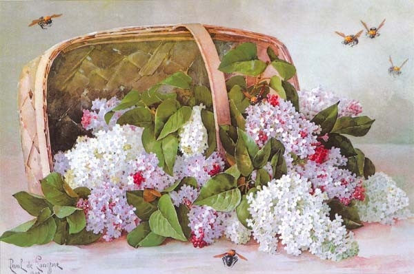 Paul de Longpre 1855-1911 - French-born American painter - Tutt'Art@ Paul de Longpre 1855-1911 - French-born American painter - Tutt'Art@