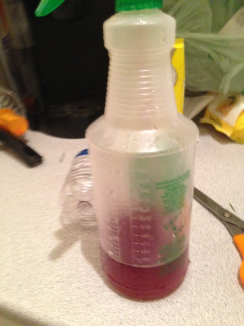 My Green Living Adventure: DIY, All Natural Flea and Tick Control For