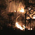 Hutan Rogoselo Terbakar, 3 Hektar Pohon Karet Ludes