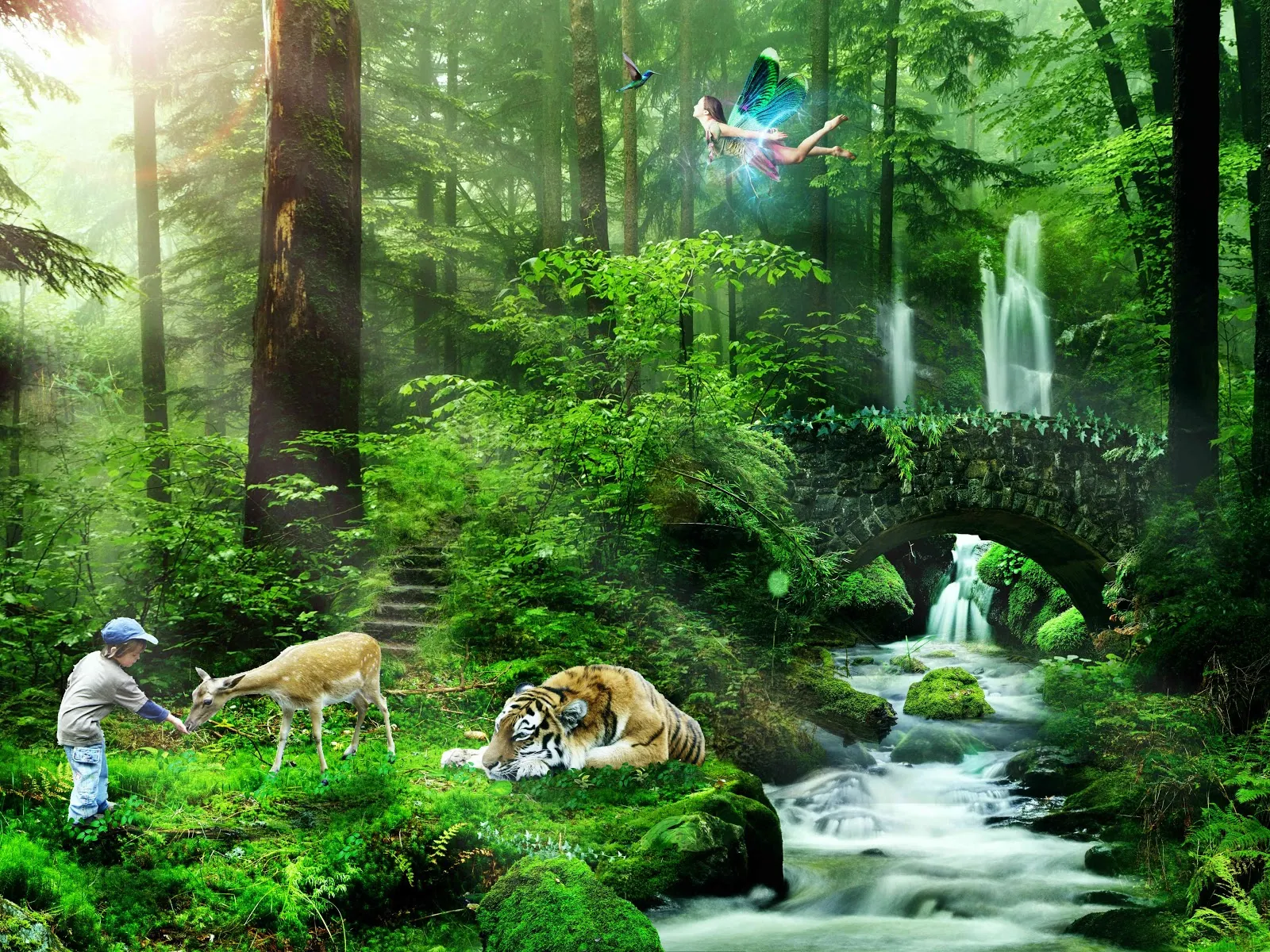 とても清々しい森の幻想的な様子