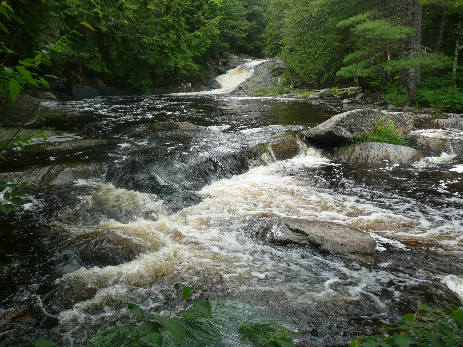 Tips from Chip Hike Little Wilson Falls