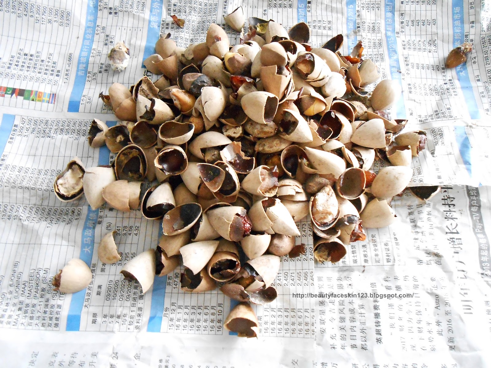 GREAT SKIN&LIFE FOOD SNOW FUNGUS AND GINGKO BILOBA DESSERT RECIPE