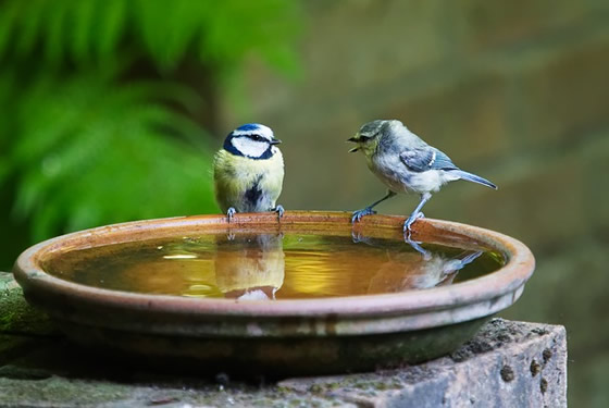 https://www.symbolicliving.com/2019/05/mercury-in-gemini.html https://www.symbolicliving.com/2019/05/mercury-in-gemini.html