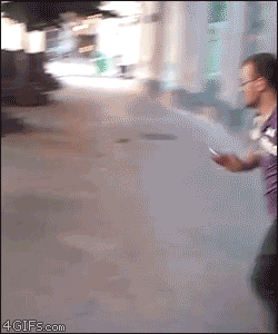 n12.gif