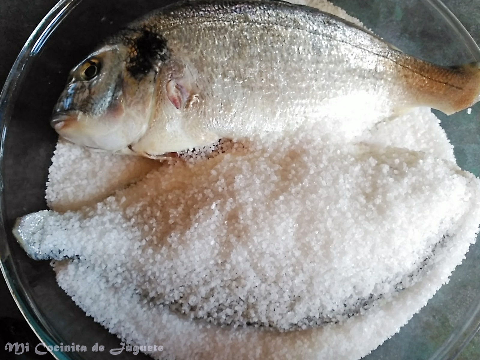 dorada a la sal microondas mi cocinita de juguete dorada a la sal en microondas dorada a la sal microondas mi cocinita de juguete dorada a la sal en microondas