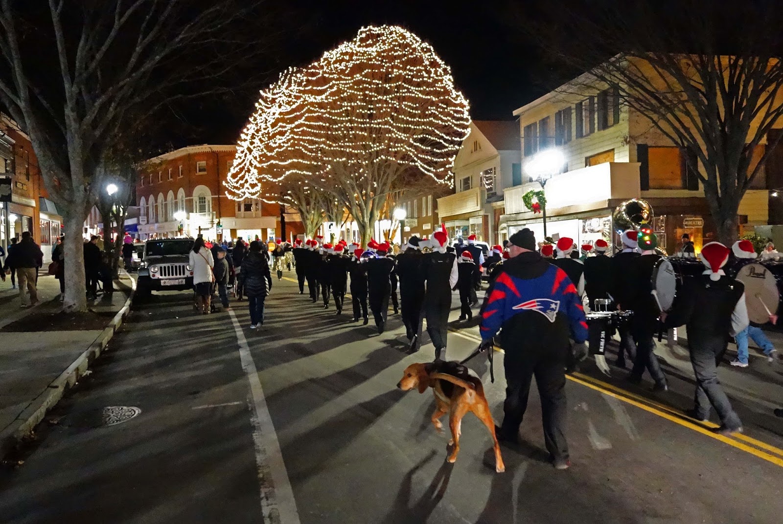 Joe's Retirement Blog: Christmas Tree Lighting and Winter Lights 5K Race, Plymouth ...1600 x 1072