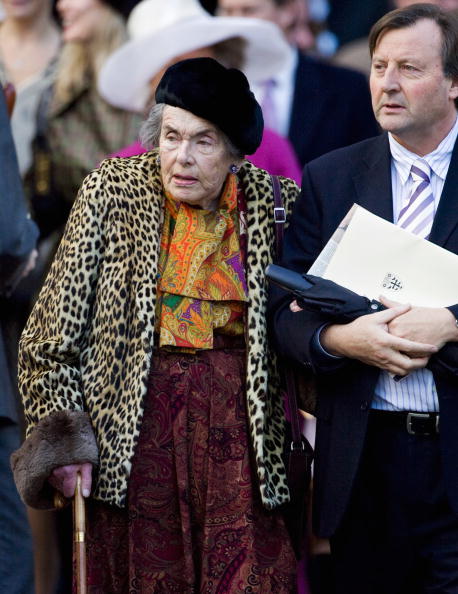 Фуксия lady patricia mountbatten фото и описание