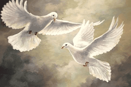 Puisi Seputih Janji Sang Merpati Putih Puisi Tentang Cinta