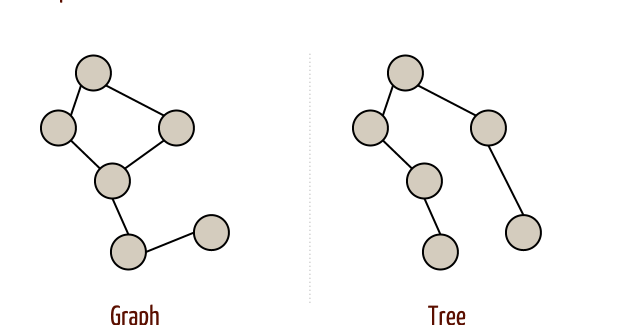 Difference between Graph and Tree in DSA - Bagni Blog