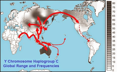 C haplogroup global map