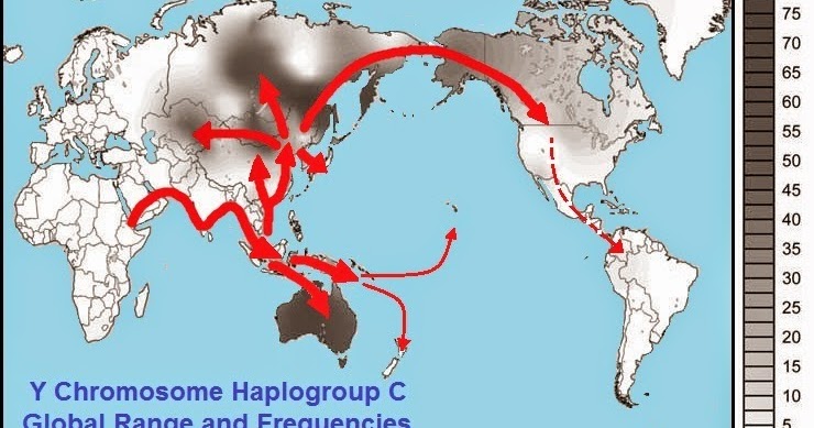 Distribution De Love Alarm NRY haplogroup C, part 2. Eurasia and Homo erectus | Patagonian monsters