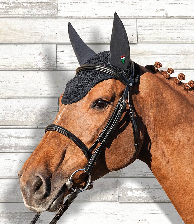 Gray Flannel Horses NoiseCancelling Headphones?