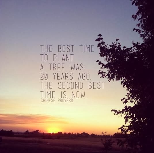 Sweet Tea and Sunshine: Instagram quotes