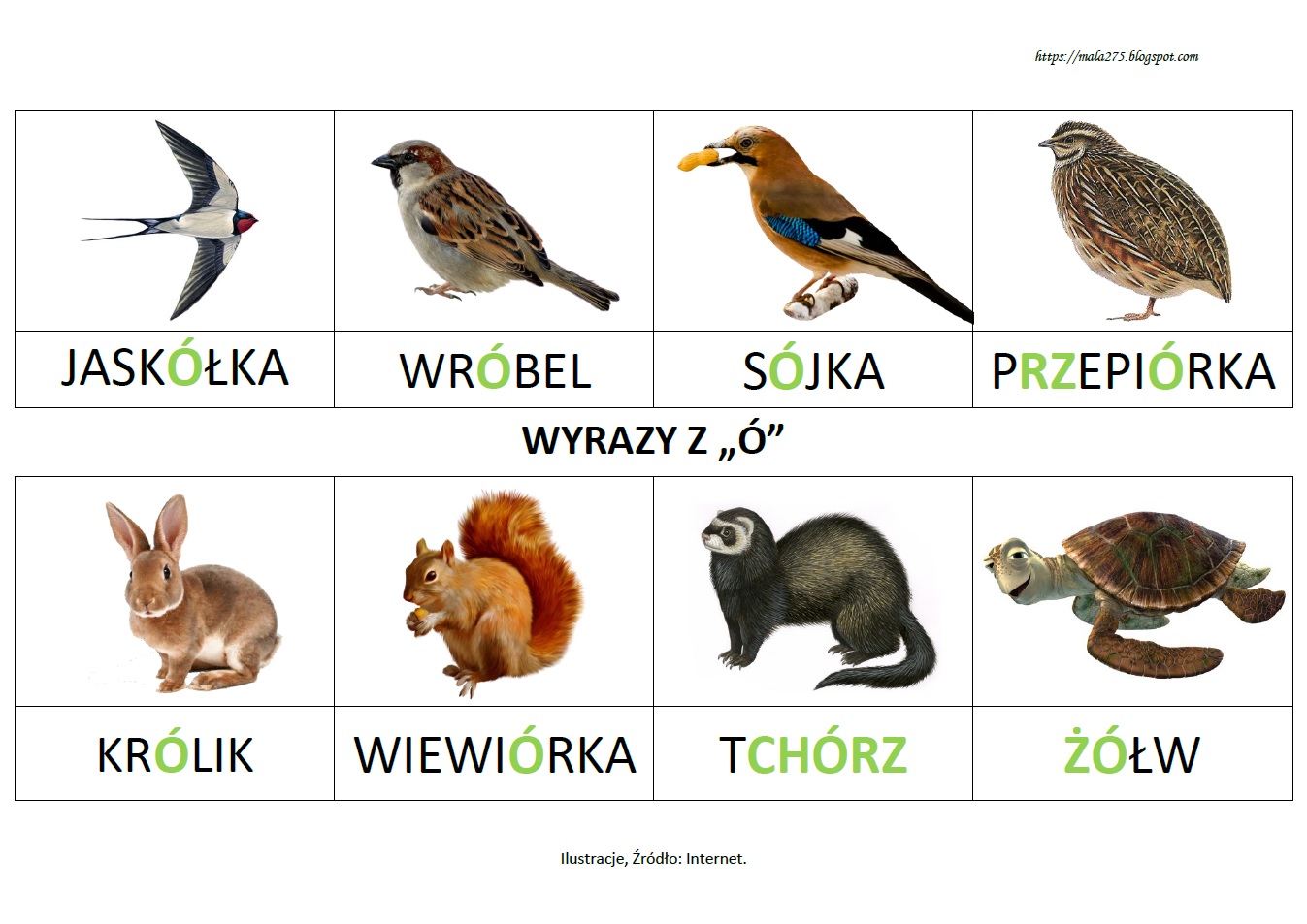 Nazwy Zwierząt Z ó Wymiennym