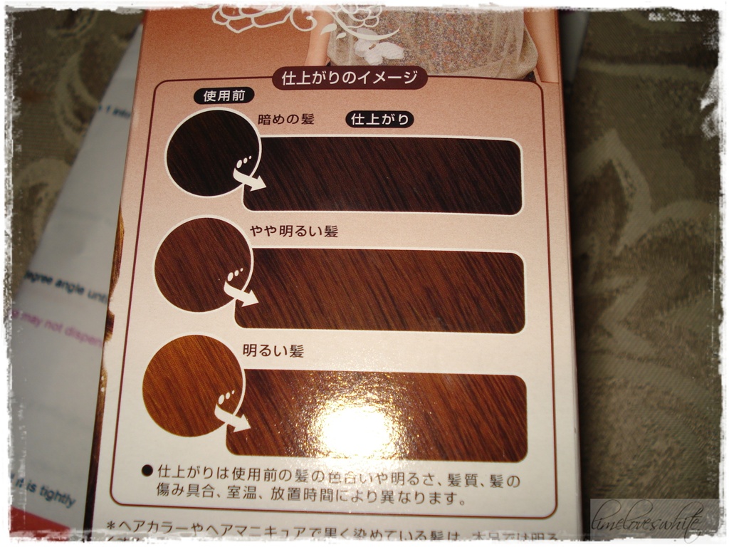 Being Vain is my Profession.. REVIEW Kao Prettia Bubble Hair Dye in