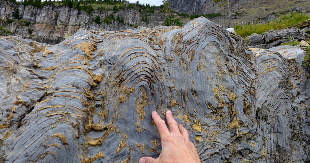 Earth Science Guy Strange Fossils in Glacier Park