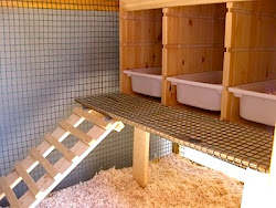 chicken plans coop bantams coops amazing chickens build own inside boxes nesting designs interior them easy diy hen box building