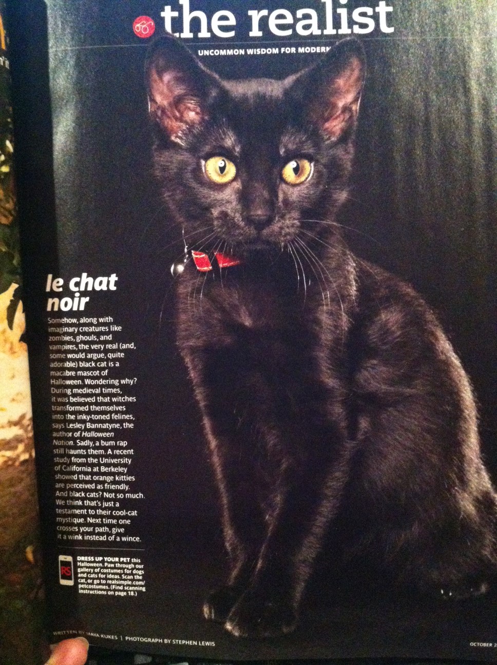 Vintage Halloween Collector Real Simple October 2013 Issue