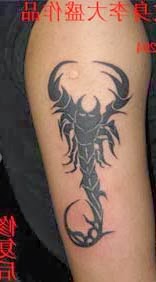 tatuagem escorpião maori