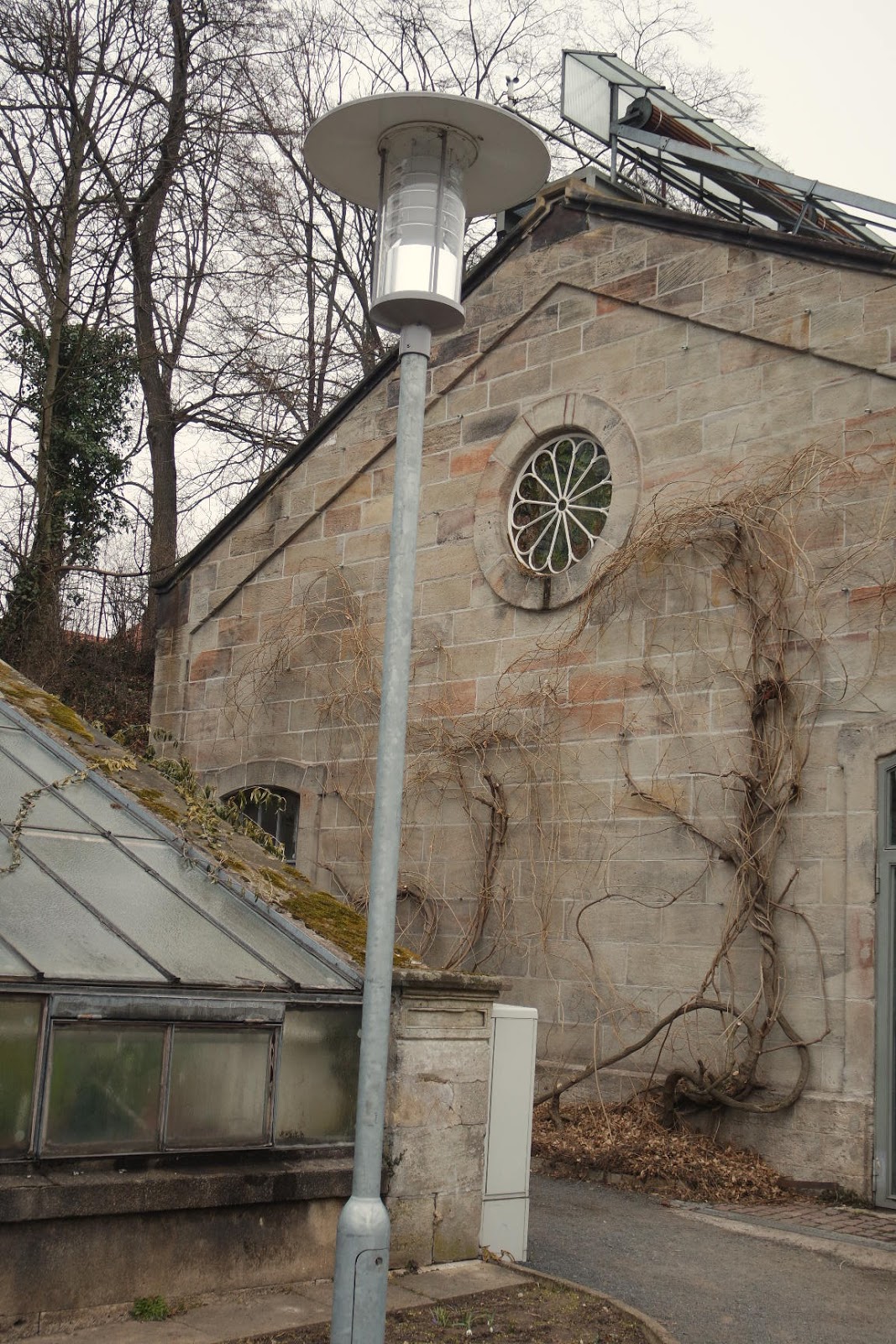 Pamelopee Mit Kindern Unterwegs In Sudniedersachsen Gottingen