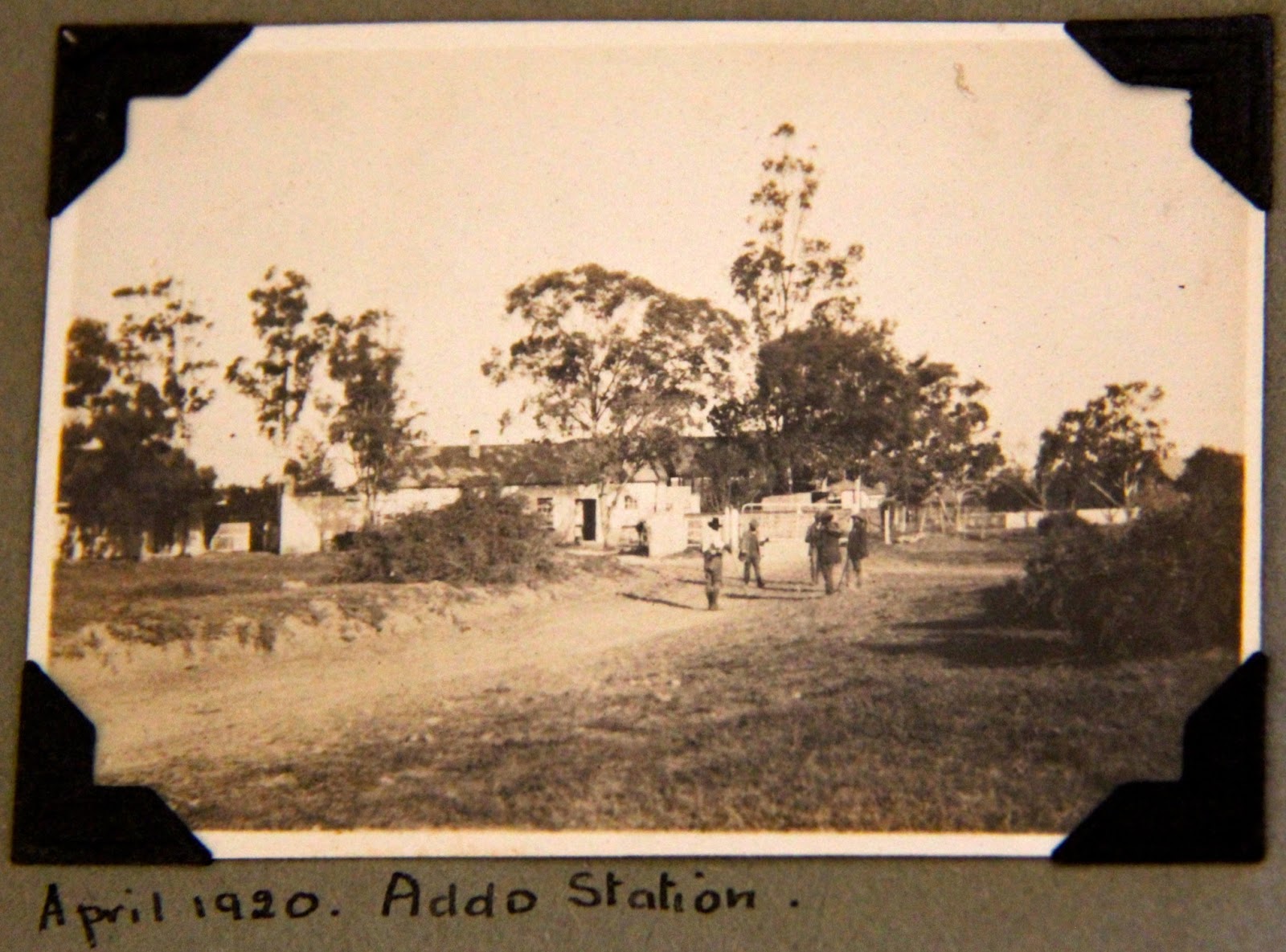 Addo and the Sundays River Valley: Talbot Elliott's Memories of Addo ...