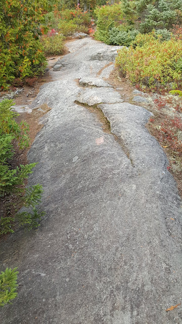 Cap rocheux sur le sentier du mont Brassard