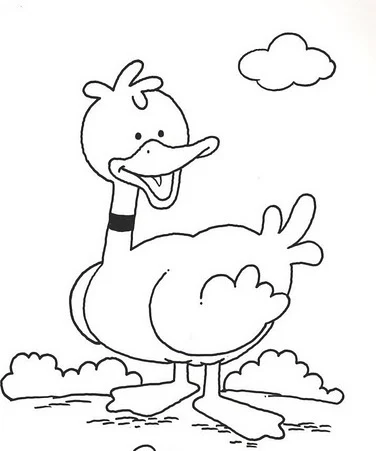 Duck Coloring Pages