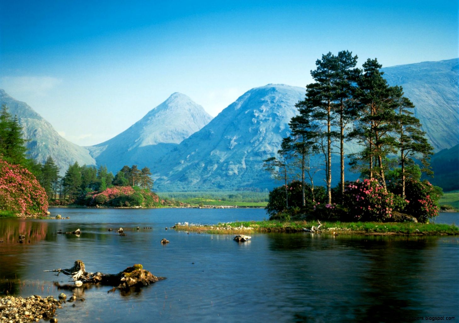 Cool Nature Desktop 1008   Nature HD Desktop Wallpaper