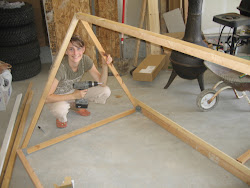 coop hen haven chickens