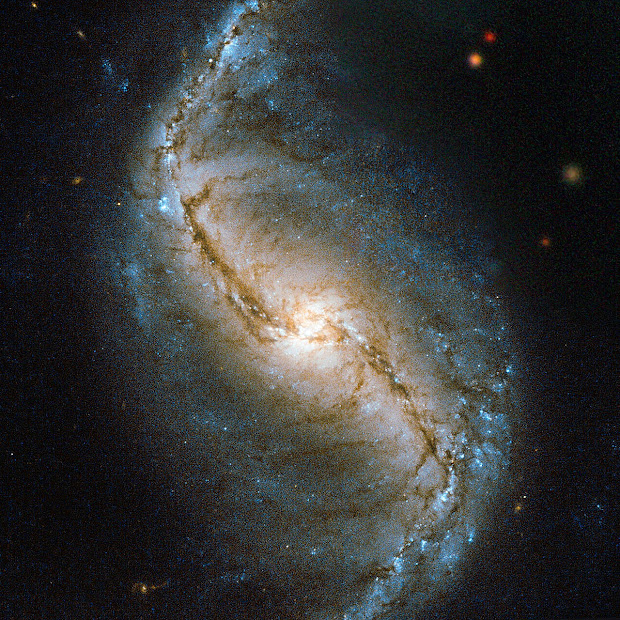 Barred Spiral Galaxy NGC 986