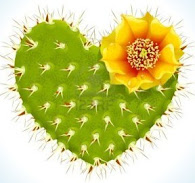 corazón de cactus