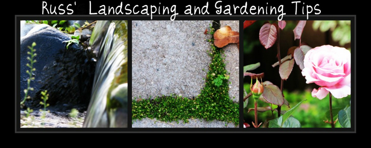 Russ' landscaping and gardening tips