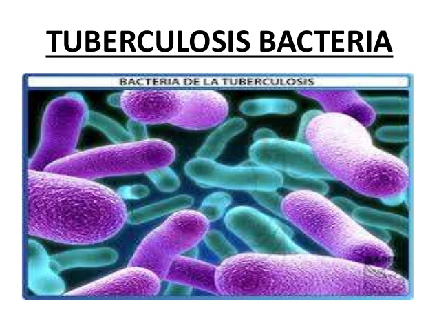 tuberculosis tb is a bacterial infection Mycobacteria are a type of germ there are many different kinds the most common one causes tuberculosisanother one causes leprosy still others cause infections that are called atypical mycobacterial infections. tuberculosis tb is a bacterial infection Mycobacteria are a type of germ there are many different kinds the most common one causes tuberculosisanother one causes leprosy still others cause infections that are called atypical mycobacterial infections.