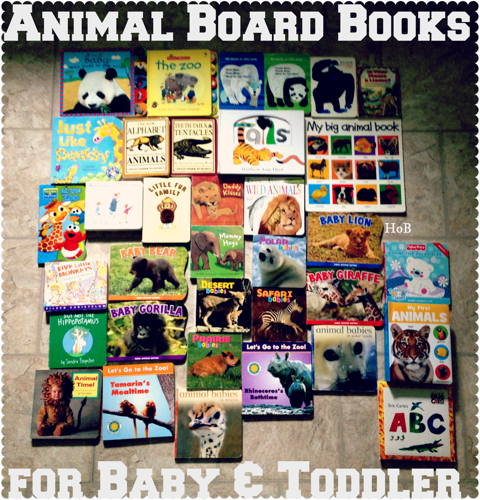 House of Burke: Animal Board Books for Baby & Toddler